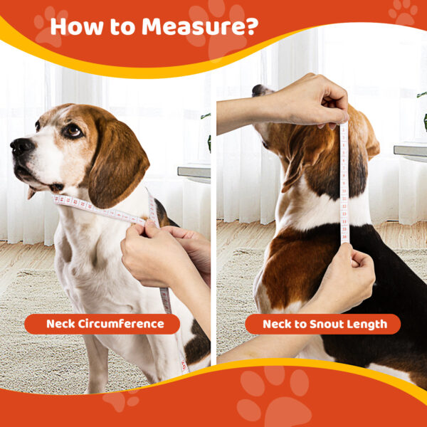 Pet Elizabethan Collar Double Layer - Image 5