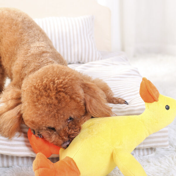 Dog Plush Toy Pet Vocal Toy Huayuan Pet - Image 3