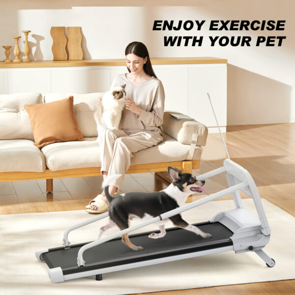2025 New Quiet Smart Pet Treadmill, Adjustable Speed, Perfect For Small Medium Dogs - Image 3