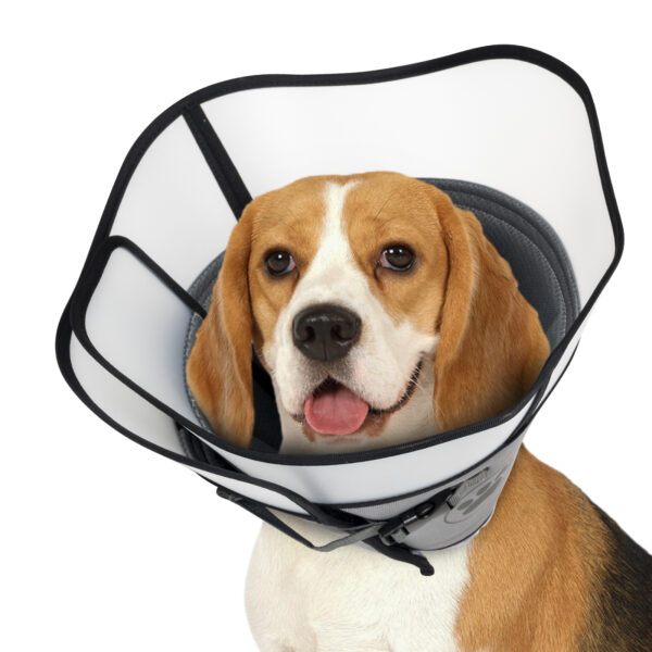 Pet Elizabethan Collar Double Layer - Image 3