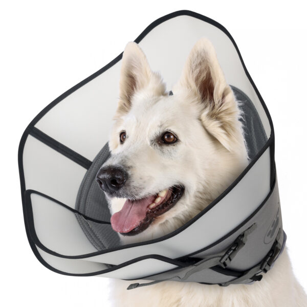 Pet Elizabethan Collar Double Layer - Image 7