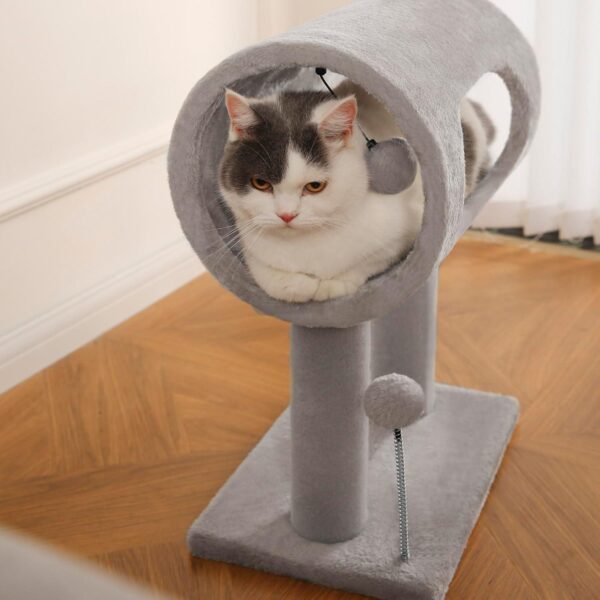 Gray Indoor Cat Tree With Hanging Ball 20.5Cat Tree With Tunnel Bed And Scratching Post Cat Tower - Image 5