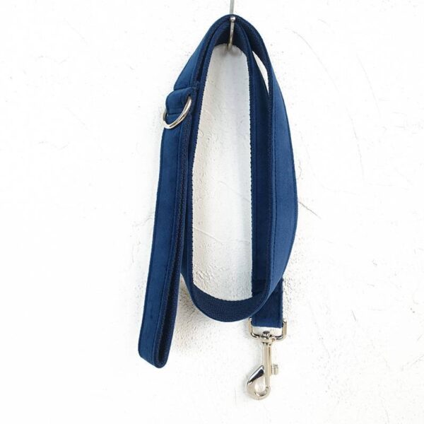 Bow pet collar large and small pet traction collar dog chain - Image 5