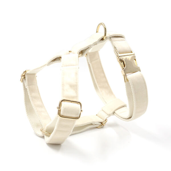 Dog collar traction rope - Image 4