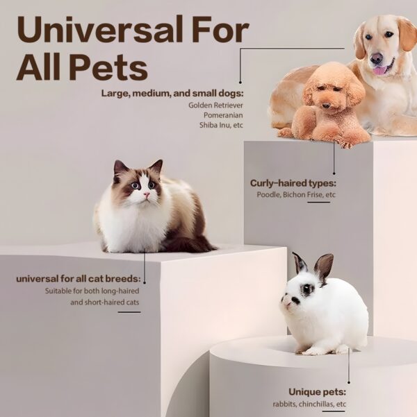 2025 New Pet Paw Trimmer 1Pack,Rechargeable Quiet Hair Trimmer For Pets,Professional Pet Grooming Kit - Cordless Waterproof  Clippers With LED For Precision Trimming,Ideal For Home Grooming Pet Hair - Image 5