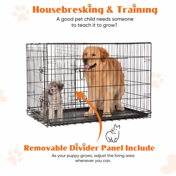 A Dog Cage With Two Doors - Image 9