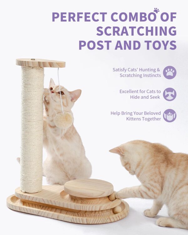 Indoor Cat Soft Scratching Board And Interactive Ball Track Toy Cat Rest And Grooming Supplies - Image 3
