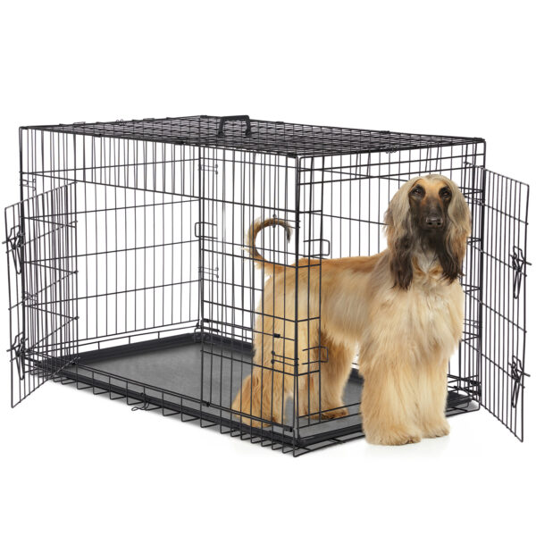 A Dog Cage With Two Doors - Image 3