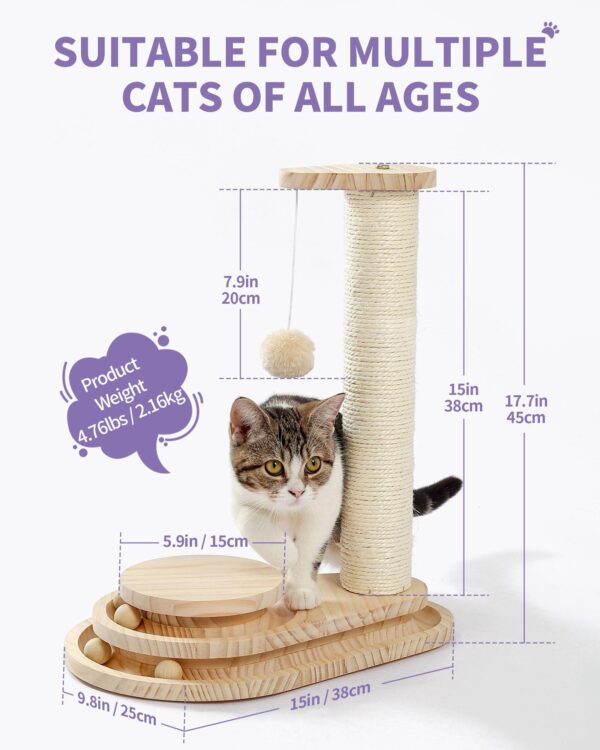 Indoor Cat Soft Scratching Board And Interactive Ball Track Toy Cat Rest And Grooming Supplies - Image 9