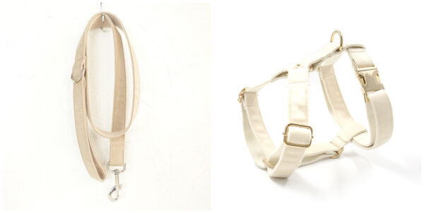 Dog collar traction rope - Image 3