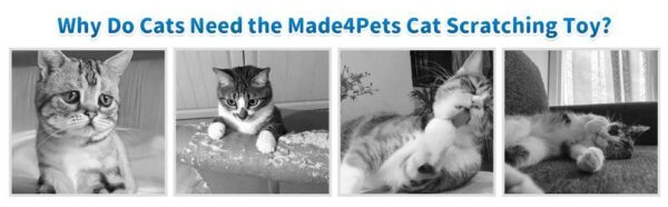 Indoor Cat Soft Scratching Board And Interactive Ball Track Toy Cat Rest And Grooming Supplies - Image 4
