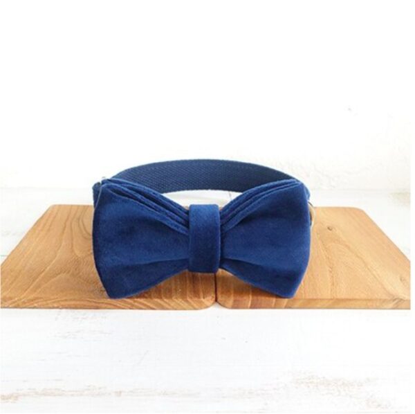 Bow pet collar large and small pet traction collar dog chain - Image 6